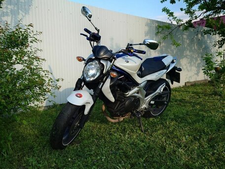 2010 Suzuki SFV 400 Gladius, белый, 420000 рублей, вид 4