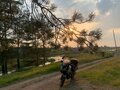 2002 Suzuki V-Strom 1000, жёлтый, 410000 рублей - вид 6
