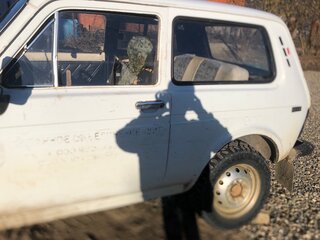 1996 Lada (ВАЗ) 2121 (4x4) I Рестайлинг, бежевый, 400000 рублей, вид 5