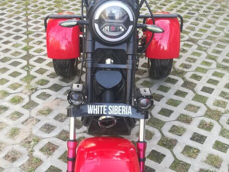 2021 White Siberia Pro Trike, красный, 175000 рублей, вид 3