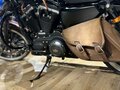 2017 Harley-Davidson Sportster 883, коричневый, 1450000 рублей - вид 2
