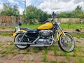 2007 Harley-Davidson Sportster 1200, жёлтый, 750000 рублей