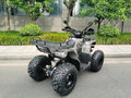 2025 Motax Grizlik 200, чёрный, 206700 рублей - вид 2