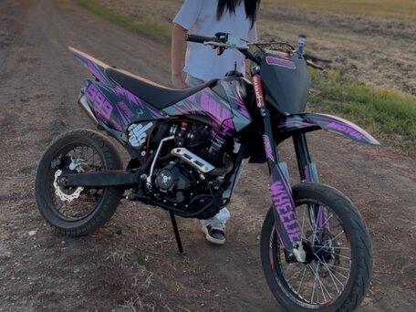2026 Motoland XR300, пурпурный, 115000 рублей, вид 1