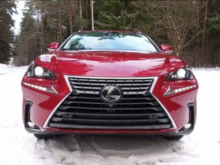 2019 Lexus NX 300 I Рестайлинг, красный, 3800000 рублей, вид 3