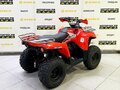 2025 Bison ATV200, красный - вид 4