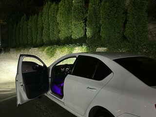 2016 Skoda Octavia III (A7), белый, 850000 рублей, вид 5