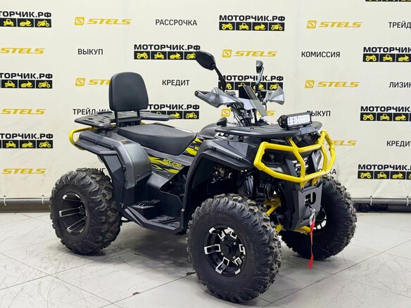 2026 Bison ATV 250F, серый - вид 6
