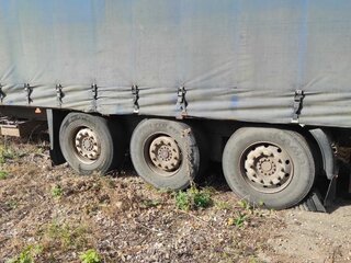 1999 Schmitz Cargobull S01, синий, 590000 рублей, вид 3