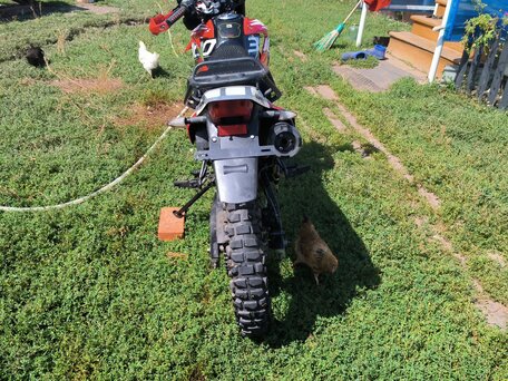 2023 Racer Panther, красный, 100000 рублей, вид 1