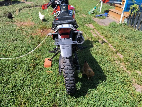 2023 Racer Panther, красный, 100000 рублей