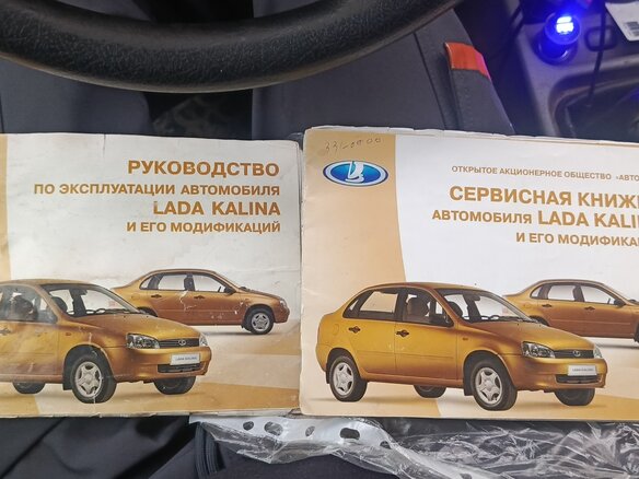 2006 Lada (ВАЗ) Kalina I, красный - вид 9