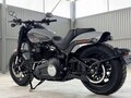 2024 Harley-Davidson Fat Bob, серый - вид 5