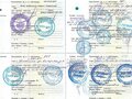 2012 УАЗ 3909, зелёный, 100000 рублей - вид 5