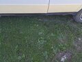 1989 Lada (ВАЗ) 2106, белый, 135000 рублей - вид 7