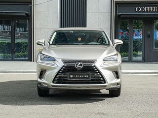 2020 Lexus NX 200 I Рестайлинг, серый, 2260000 рублей, вид 2