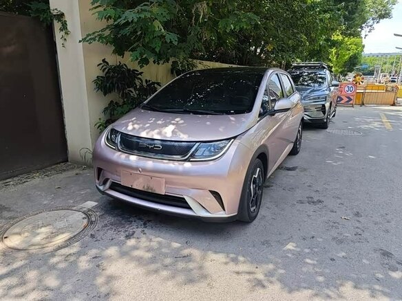 2023 BYD Dolphin 44.9 kWh I, розовый, 1650000 рублей