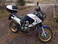2009 Honda XL700V Transalp, белый, 735000 рублей