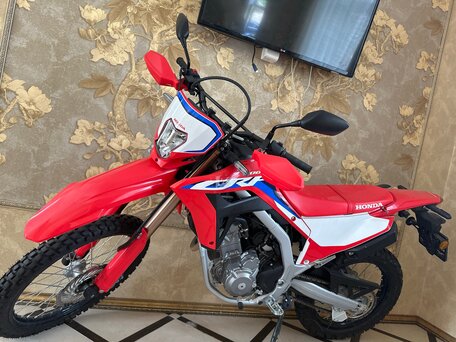2022 Honda CRF 300L, красный, 850000 рублей, вид 2