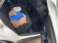 2013 Lada (ВАЗ) Priora I Рестайлинг, белый, 380000 рублей - вид 9