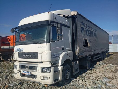 2023 КамАЗ 5490 NEO, белый, 4451000 рублей, вид 1