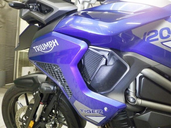 2023 Triumph Tiger 1200, синий, 1500000 рублей - вид 11