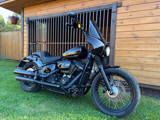 2019 Harley-Davidson Softail Custom, коричневый, 971000 рублей, вид 4