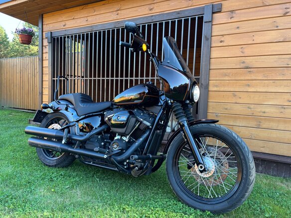 2019 Harley-Davidson Softail Custom, коричневый, 971000 рублей - вид 3