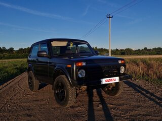 2019 Lada (ВАЗ) 2121 (4x4) I Рестайлинг, серебристый, 550000 рублей, вид 2