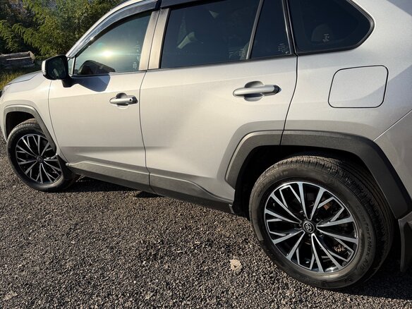 2019 Toyota RAV4 V (XA50), серый, 3000050 рублей - вид 6
