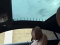 2019 Mercedes-Benz E-Класс 220 d V (W213, S213, C238), белый, 4300000 рублей - вид 11
