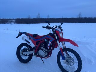 Regulmoto RM250