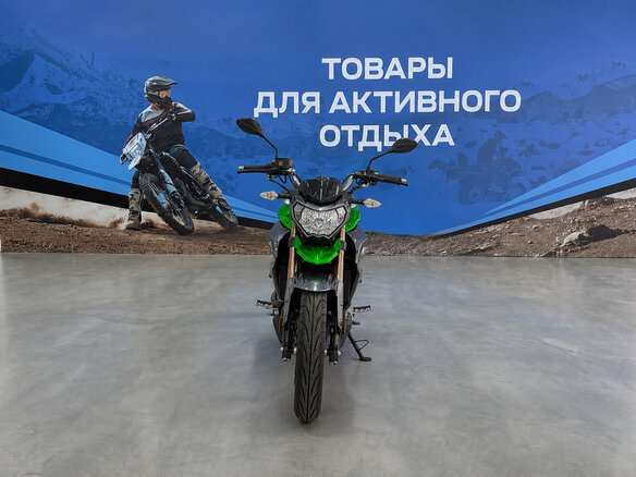 2026 Regulmoto T-Leopard 300, зелёный, 224400 рублей - вид 3