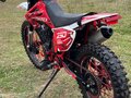 2025 Darex Alga 300, красный, 105000 рублей - вид 5
