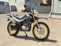 2026 Regulmoto SK200, синий, 118200 рублей