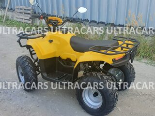 2026 Irbis ATV 200U, жёлтый, 235196 рублей, вид 5