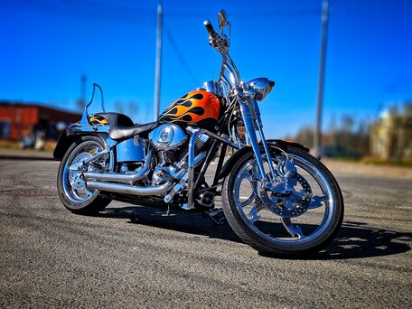 2004 Harley-Davidson Softail Custom, чёрный, 1470000 рублей, вид 1