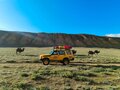 1999 Land Rover Discovery II, жёлтый - вид 7