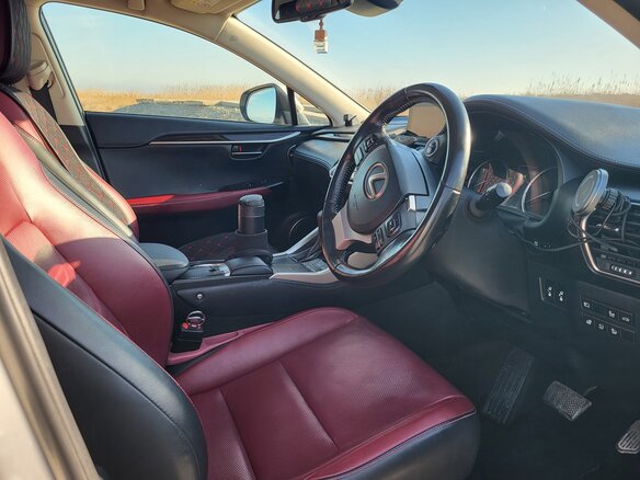 2020 Lexus NX 300h I Рестайлинг, белый, 3950000 рублей - вид 15