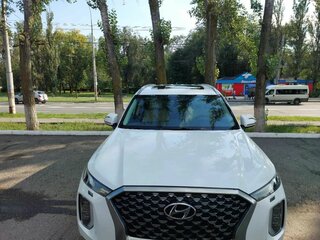2022 Hyundai Palisade I Рестайлинг, белый, 4900000 рублей, вид 1
