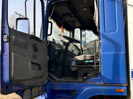 1991 DAF XF 95, синий, 1600000 рублей, вид 4