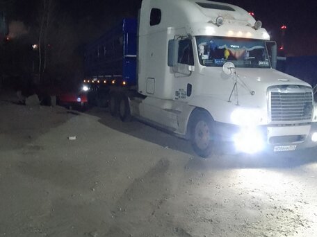2003 Freightliner Century Class, белый, 1500000 рублей, вид 3