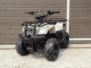 2025 Motoland ATV 110 Rider, бежевый, 86700 рублей, вид 3