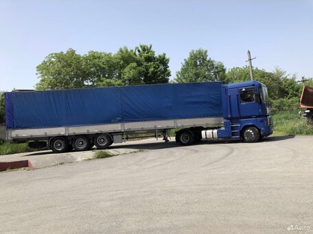 2000 Renault Magnum, синий, 1250000 рублей, вид 3
