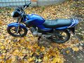 2009 Yamaha YBR125, синий - вид 1