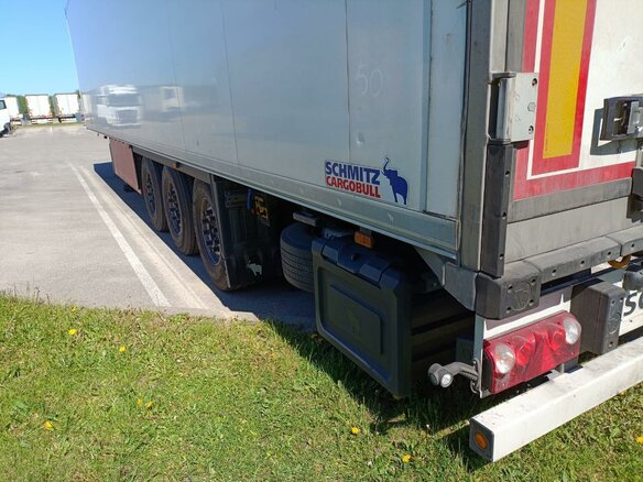 2021 Schmitz Cargobull SKO, белый, 5413547 рублей - вид 8