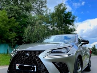 2021 Lexus NX 300 I Рестайлинг, серый, 3950000 рублей, вид 2