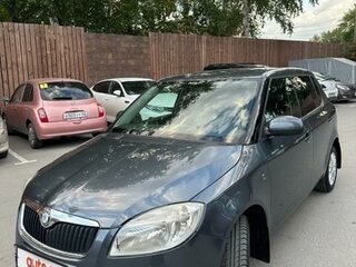 2009 Skoda Fabia II, серый, 680000 рублей, вид 1