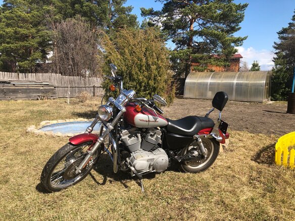 2004 Harley-Davidson Sportster 883, красный, 450000 рублей