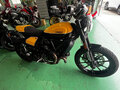 2019 Ducati Scrambler 800, жёлтый, 700000 рублей